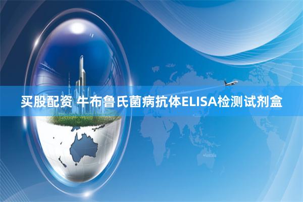 买股配资 牛布鲁氏菌病抗体ELISA检测试剂盒