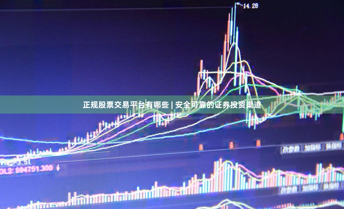 正规股票交易平台有哪些 | 安全可靠的证券投资渠道