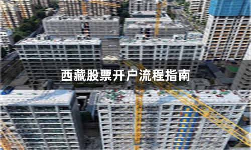 西藏股票开户流程指南